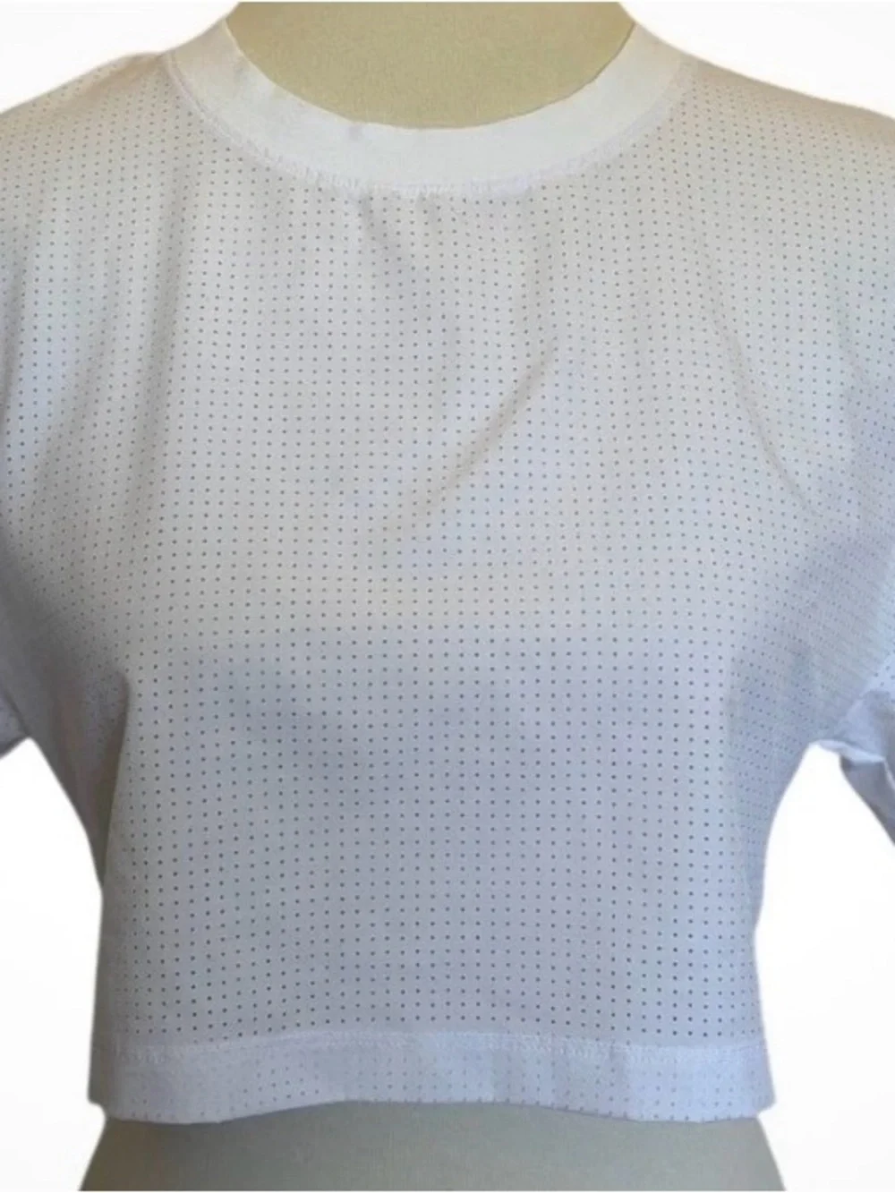 ALO Yoga White Cropped Mesh Tee